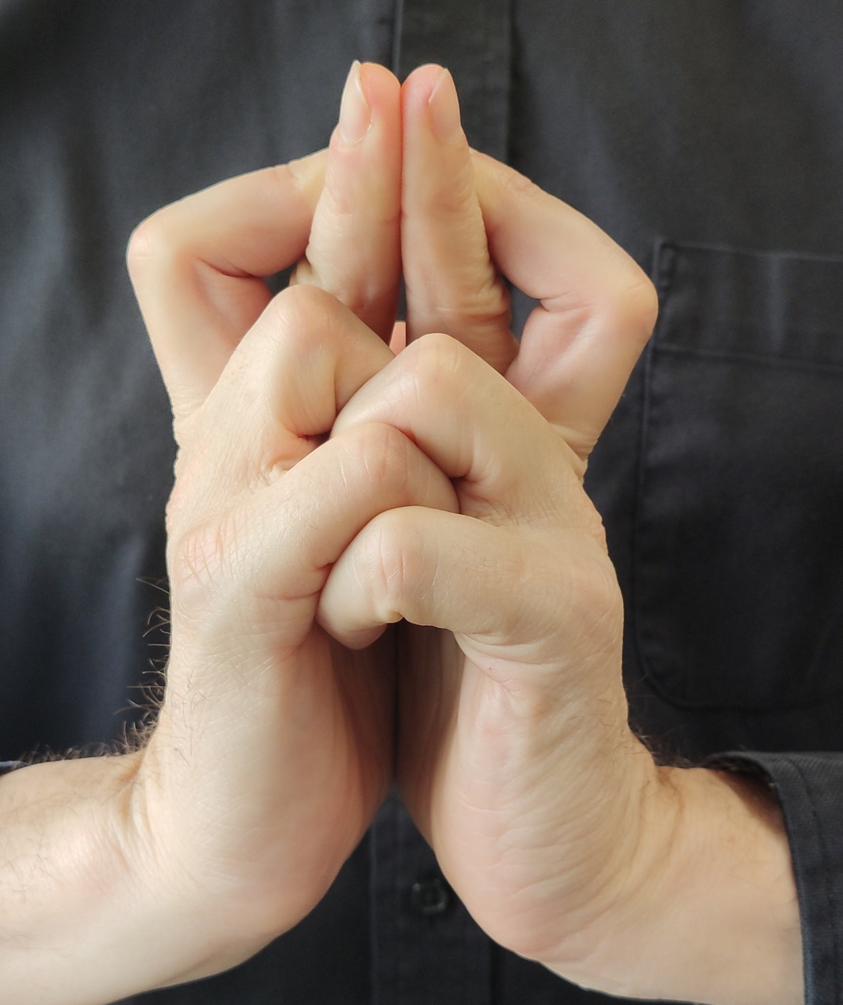 Hyō Mudra – Kuji Kiri Fingerzeichen für Energielenkung · Kuji Kiri · die neun magischen Handzeichen aus Shingon-Buddhismus und Yamabushi-Tradition