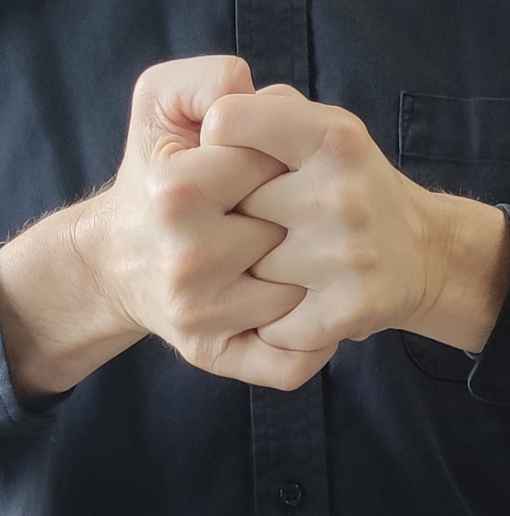Jin Mudra – Kuji Kiri Fingerzeichen für Gedanken und Absichten erfassen
