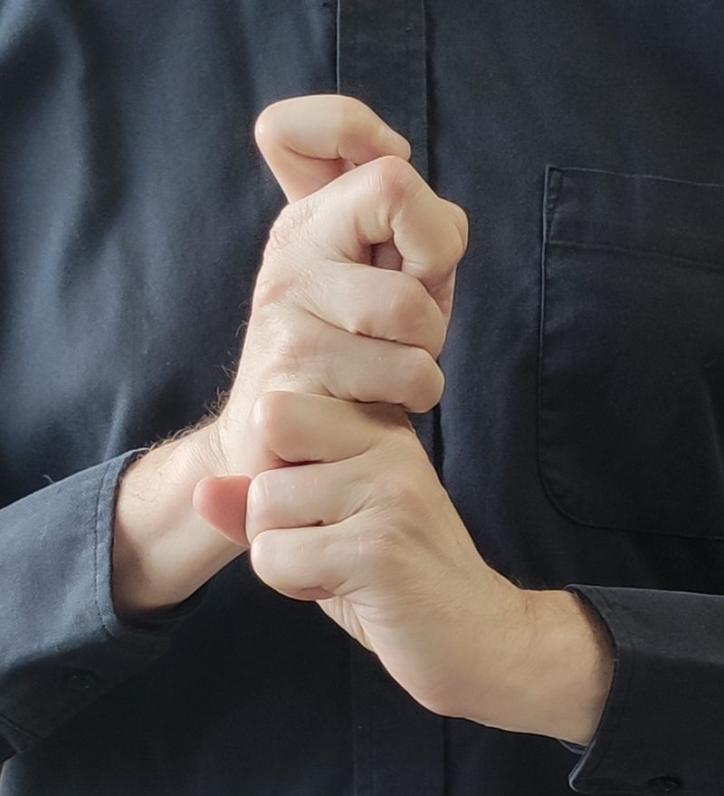 Chiken-In · Weisheitsfaust-Mudra des Dainichi Nyorai · identisch mit Mudra Retsu im Kuji Kiri