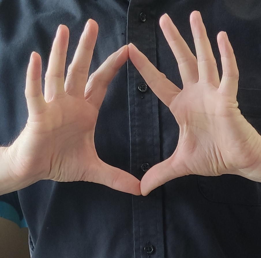 Zai Mudra – Kuji Kiri Fingerzeichen für Elemente und Manifestation