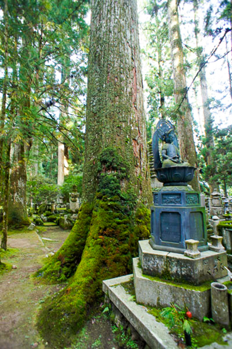 Dainichi-Nyorai-Statue im Wald des Okunoin auf dem Koyasan