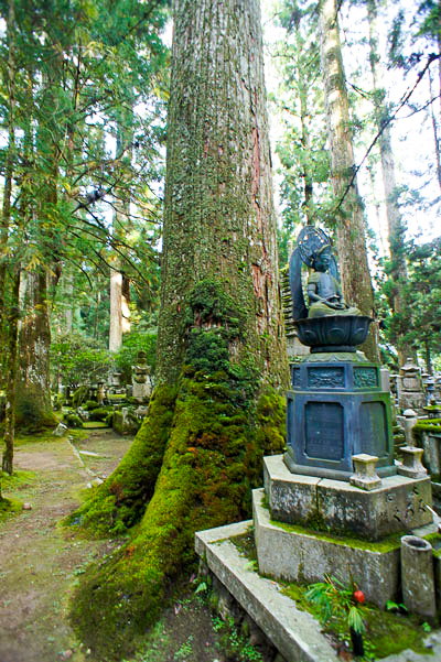 Statue des Dainichi Nyorai zwischen alten Zedern im Okunoin am Kōyasan