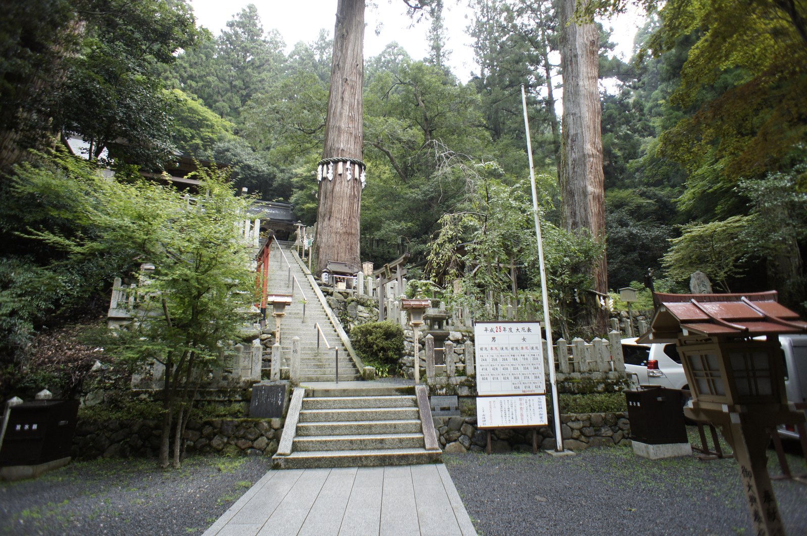 Großer Sugi-Zedernbaum vor dem Kurama-Schrein · Quelle der Reiki-Erleuchtung