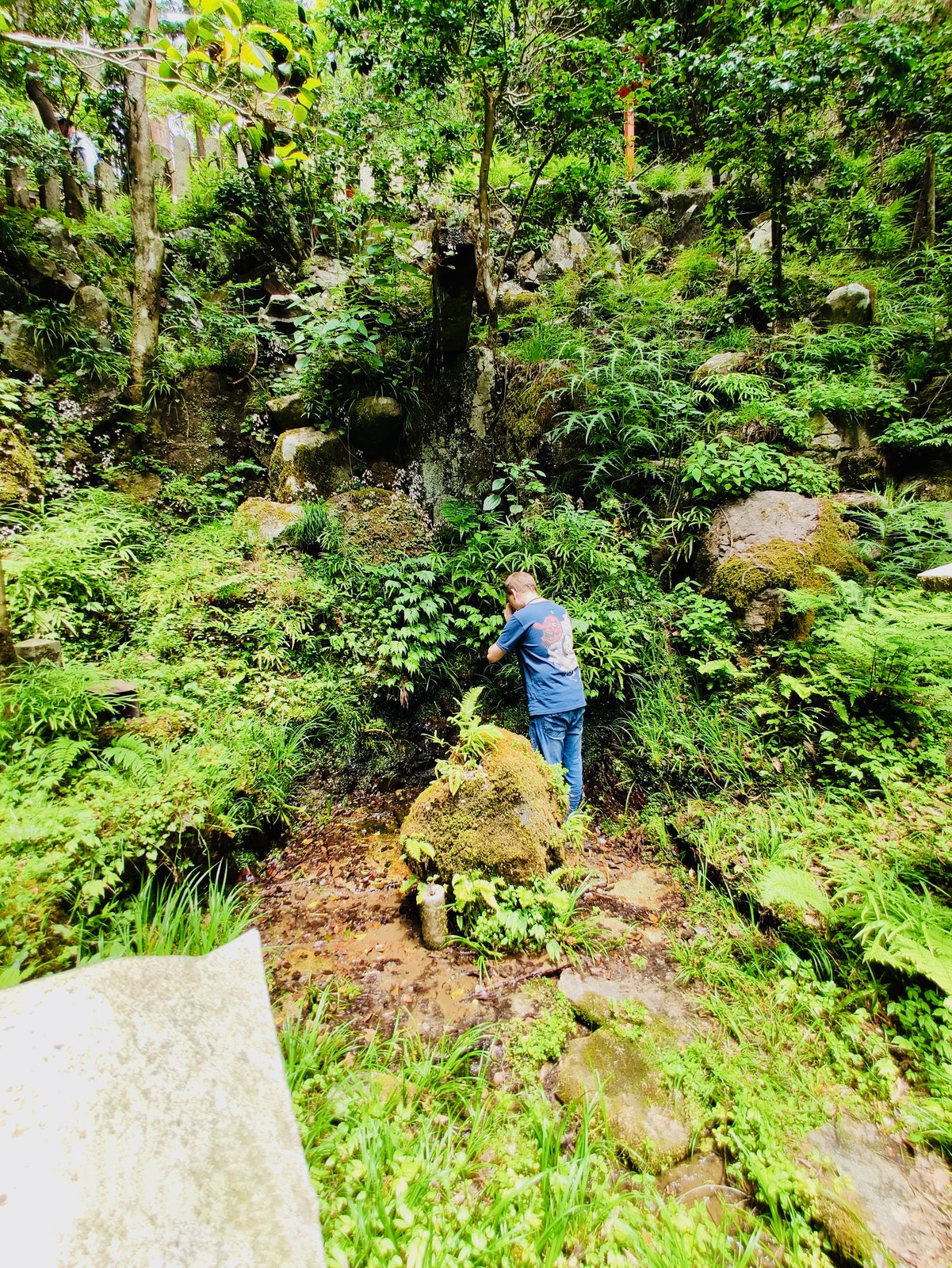 Dr. Mark Hosak am heiligen Platz des Kurama-Bergs