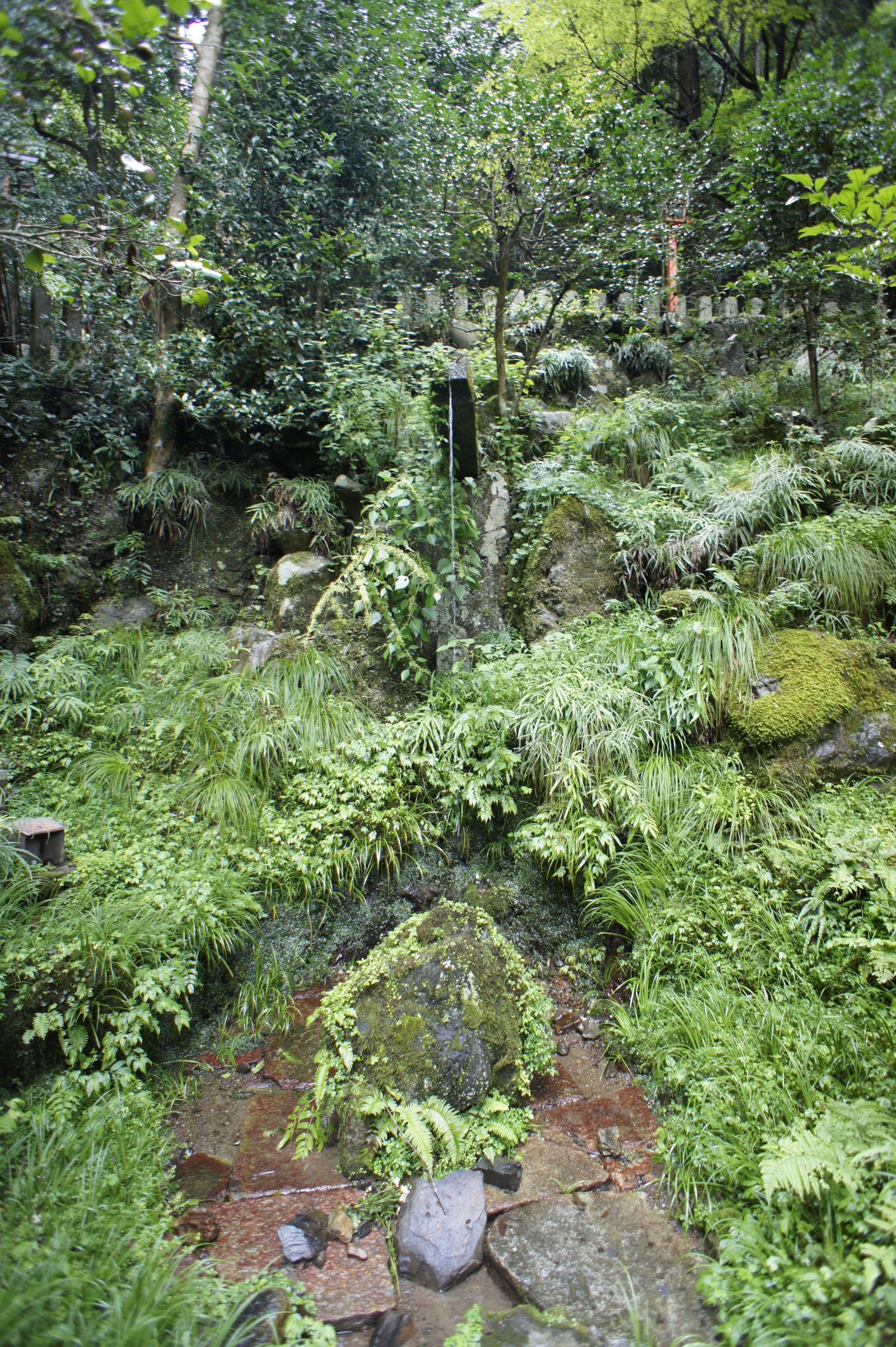 Wasserfall am Kurama · Ort der Reiki-Erleuchtung Mikao Usuis