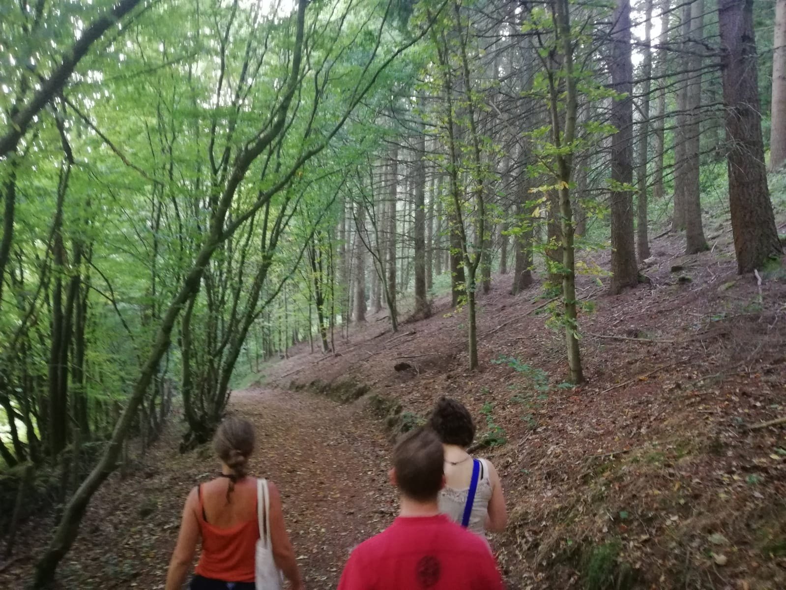 Wegbegleitende im Wald · die spirituelle Gemeinschaft im offenen Raum