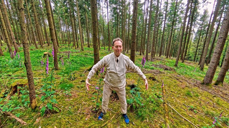 Mark Hosak in Qigong-Stehposition mit offenen Armen im Wald · Hara-Atmung