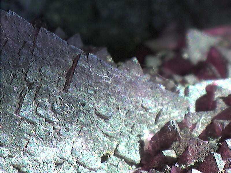 Fluorit-Kristall in violetten und grünen Tönen · Detail