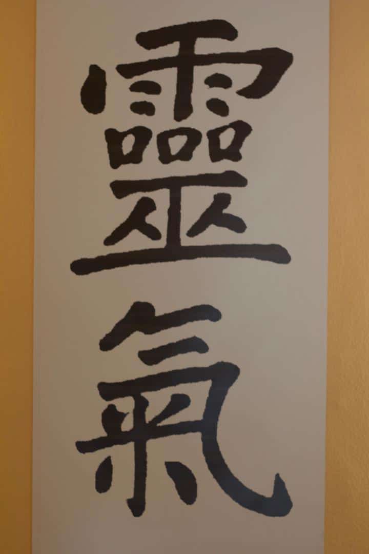 Reiki Symposium