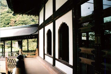 Reiki and TCM