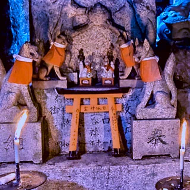Wolf Shamanism & Rituals Online Course