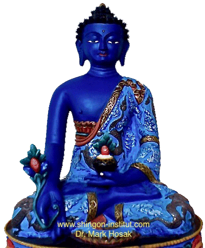 d7b10fe9 1831 4476 b87b a2c02fa0c765 Medizinbuddha